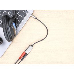 Cavo Adattatore per Cuffie con Splitter Audio Stereo AUX 20cm